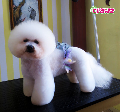 craie pour animaux de compagnie Opawz