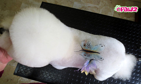 Craie pour poils d'animaux Opawz