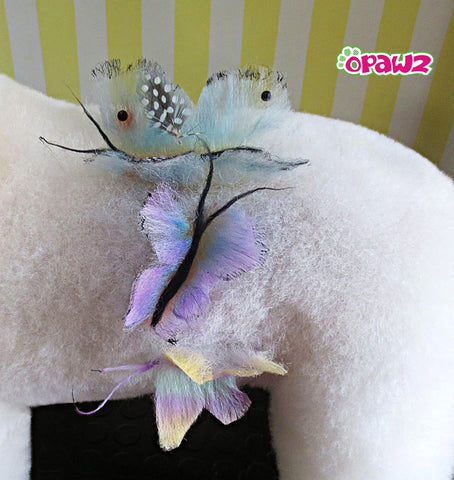 craie pour chien opawz