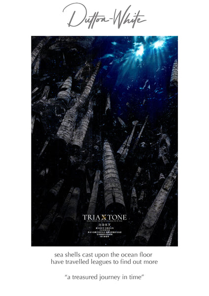 Shell Fossil Marble - TriaXtone