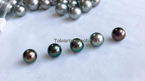 tahitian peacock green/blue/red loose pearls