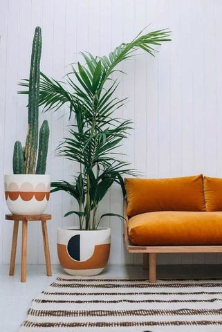 Green plants