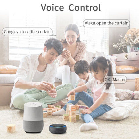 roller shade motor control by alexa and google home