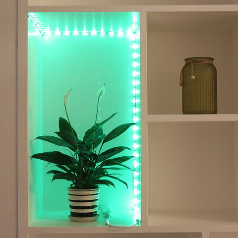 Smart Sensor LED Light Strip