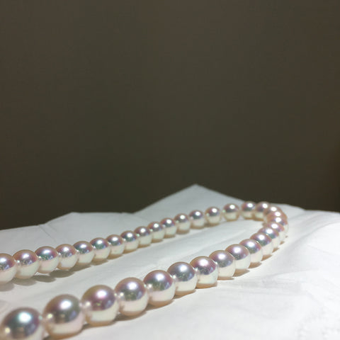 TEN-NYO hanadama japanese akoya pearl 