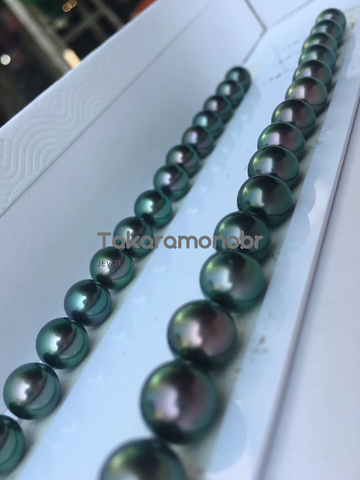 tahitian peacock green pearl necklace