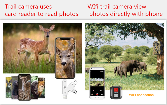 best wifi trail camera 2021
