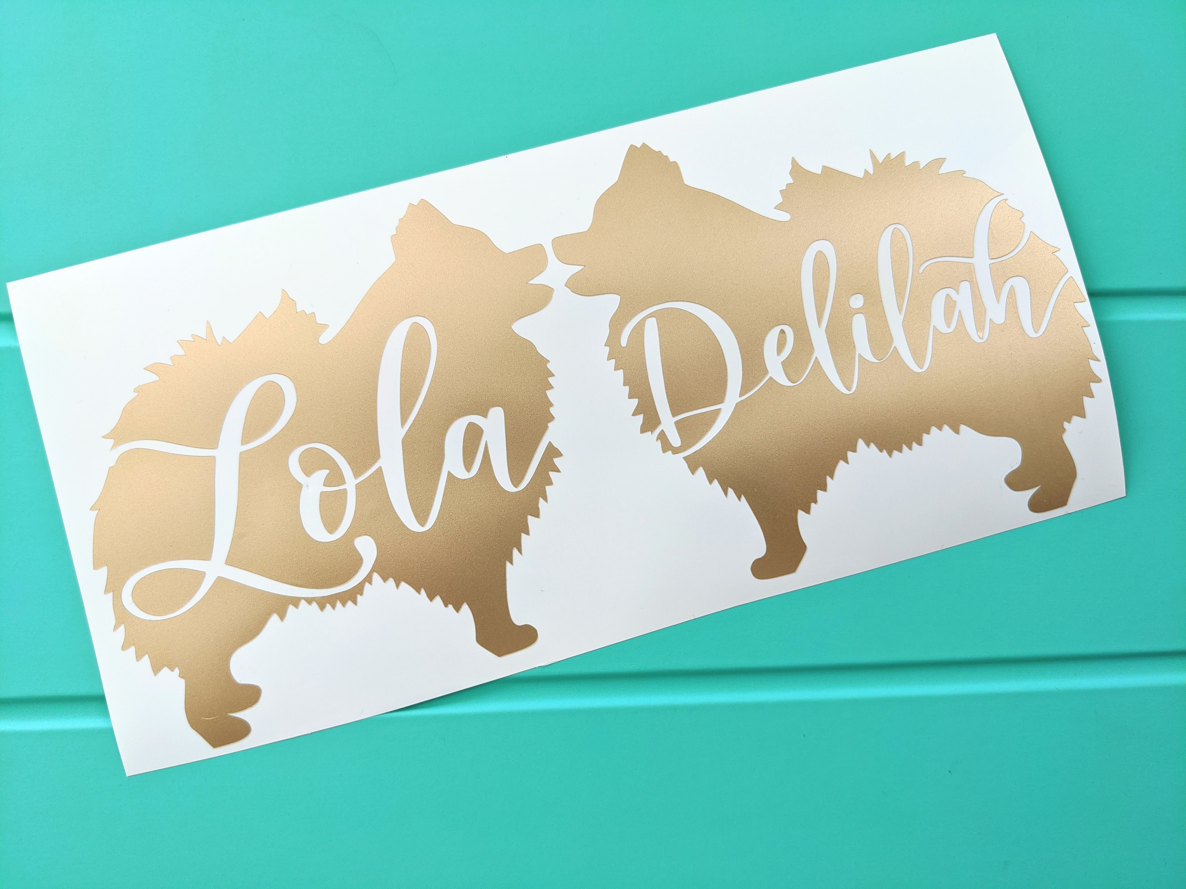 Spitz dogs named Lola and Delilah doggies