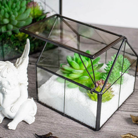 Wardian Case Planter