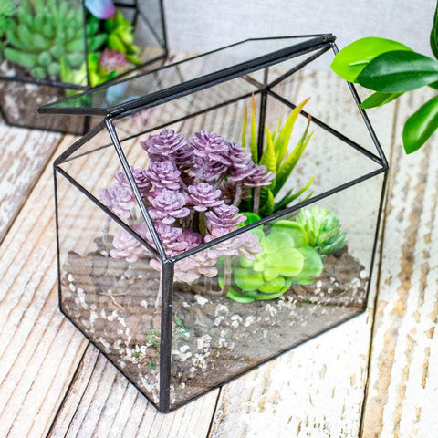 House-Shaped Terrarium