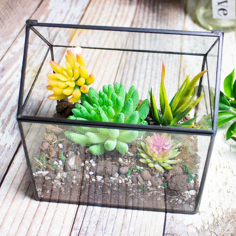 House-Shaped Terrarium