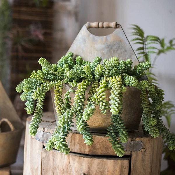 Metal Iron Half Round Flower Planter