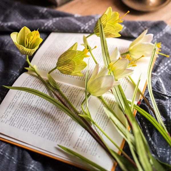 Silk Fritillaries Lily Flower Stem