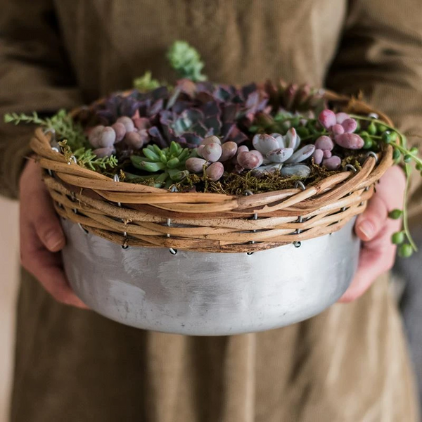 Silver Metal Willow Mixed Zakka Planter