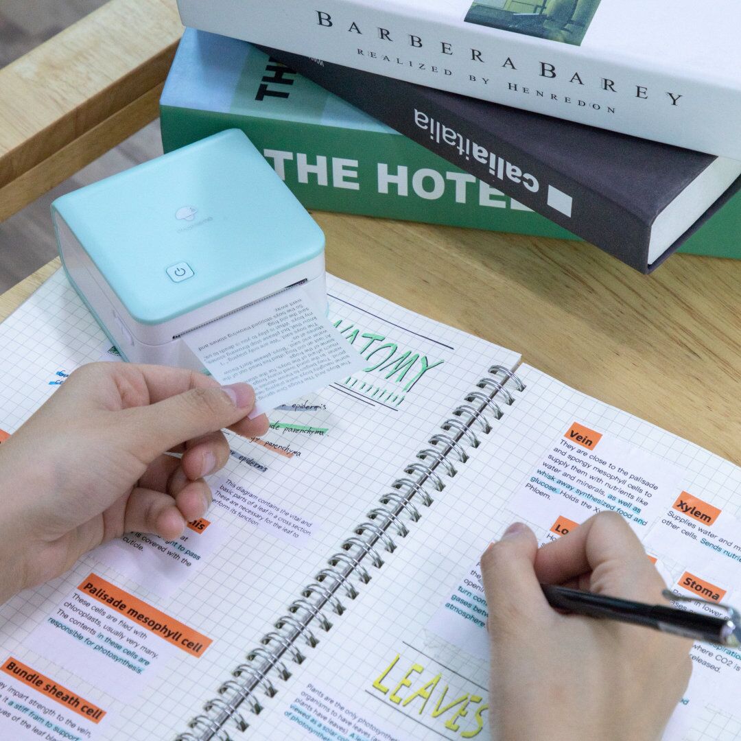 Phomemo M02 Pro Portable Mini Pocket Thermal Printer | Cyan