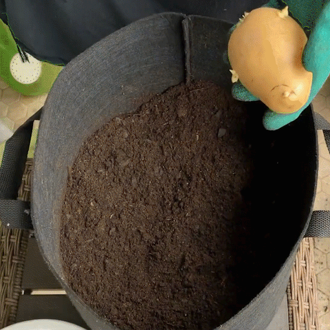 Black Plants Growing Bag Vegetable Nursery Bag(5PCS) – voguevo
