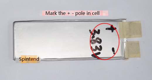 Mark the + - pole in cell