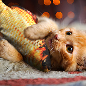 Electric Moving Fish Cat Toy