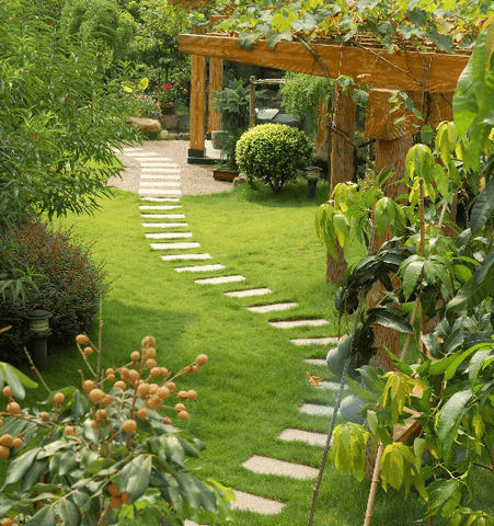 Pathway Garden