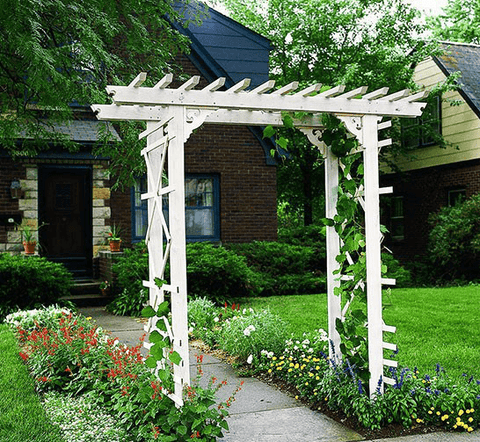 Trellis Garden