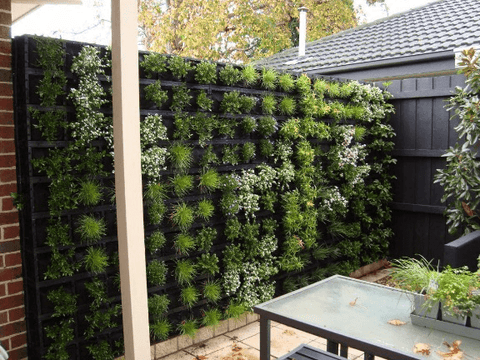 Vertical Garden