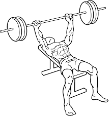 bench press