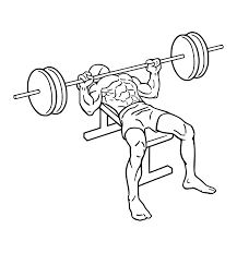 bench press