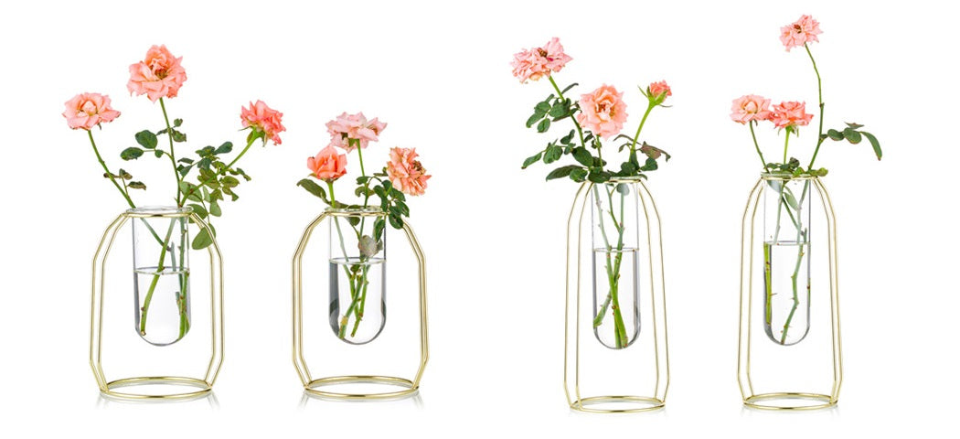 Iron Glass Test Tube Vase