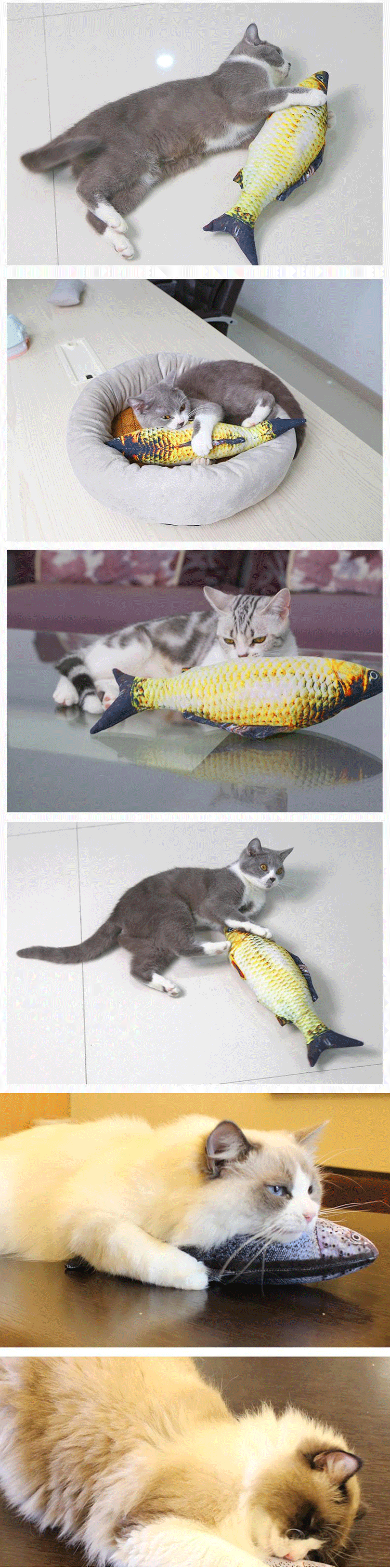 寵物貓電動仿真魚玩具展示