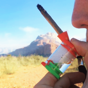 Waxmaid Silicone Glass Mini Blunt Bubbler